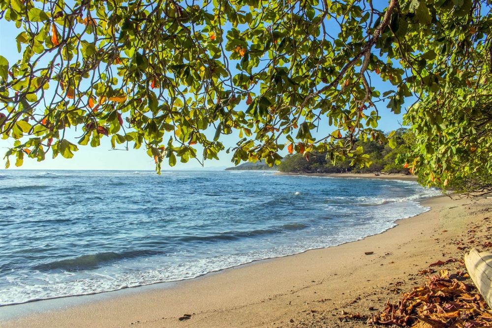 Quiet beach framed by trees at Puntarenas, Costa Rica