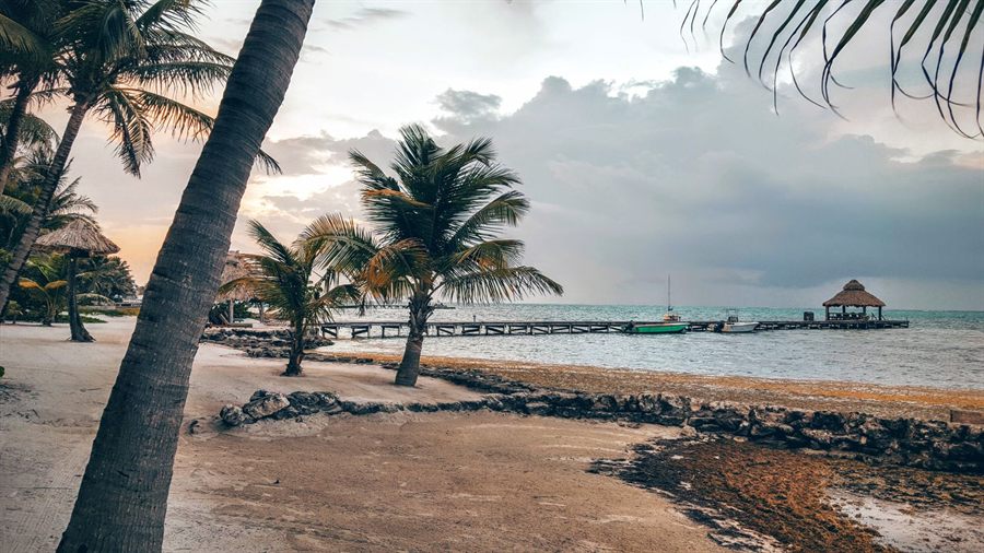 Palm-lined beach and pier at San Pedro, Belize