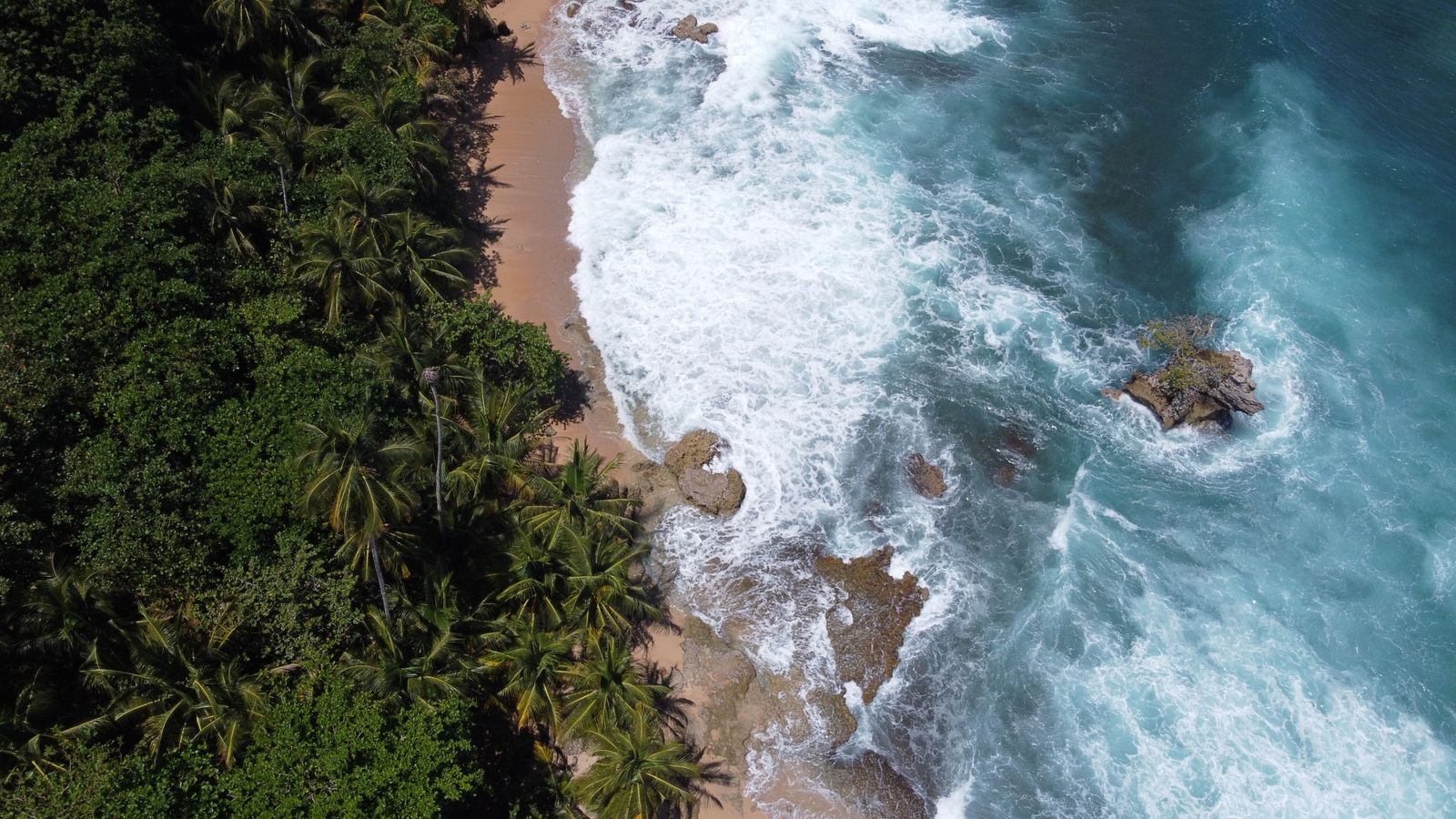 Aerial view of rainforest meeting the surf at Cahuita near Limon, one of the Central America cruise ports on Costa Rica's Caribbean coast
